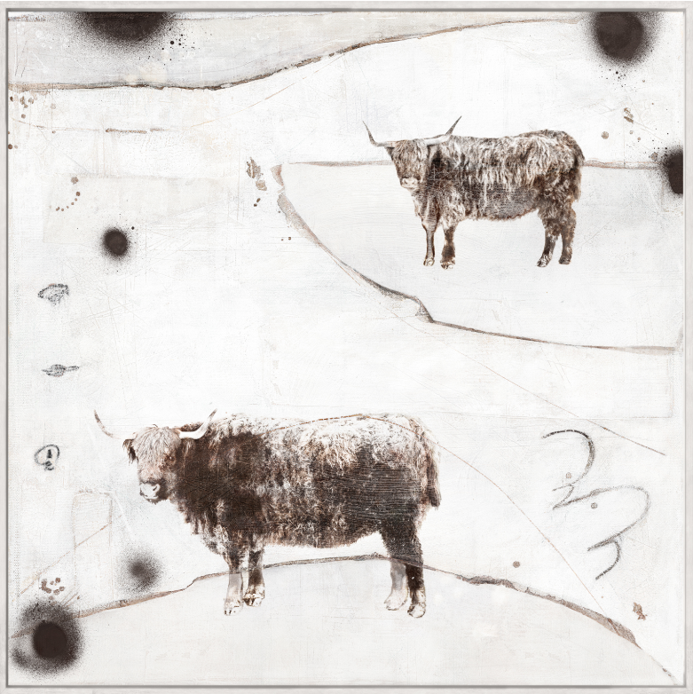 Carousel - Highland Cows