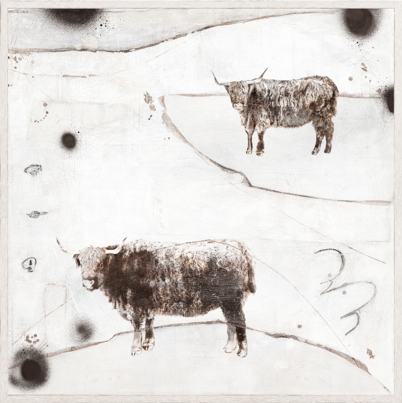 Carousel - Highland Cows