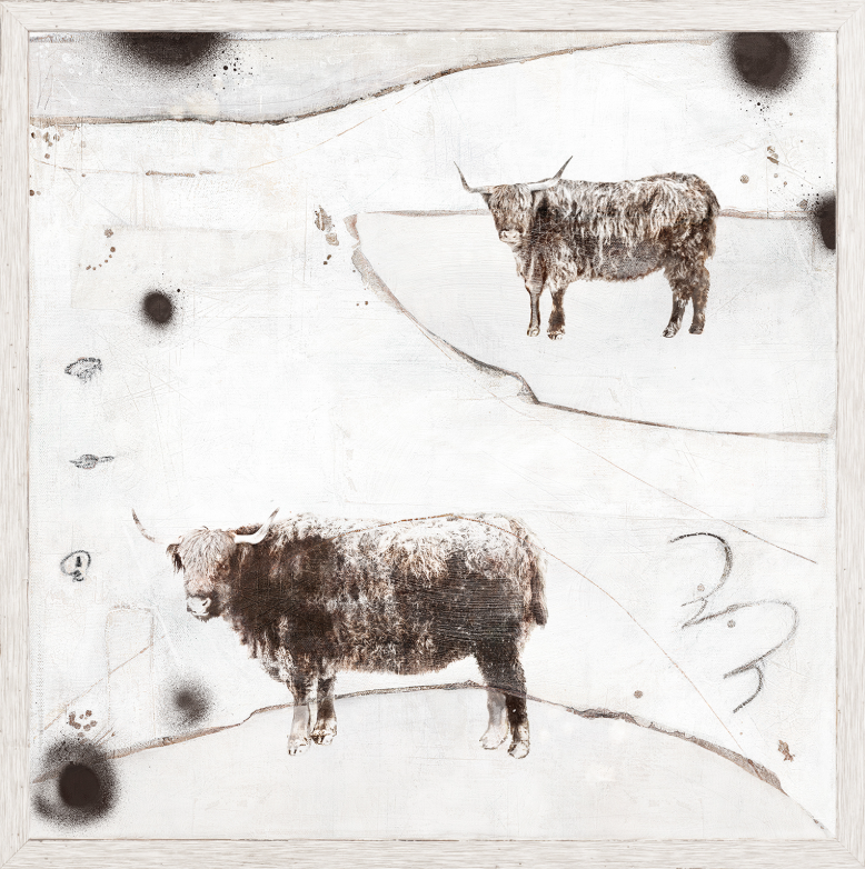 Carousel - Highland Cows