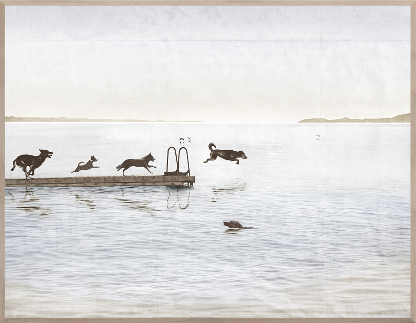 Dogs Day At The Cottage