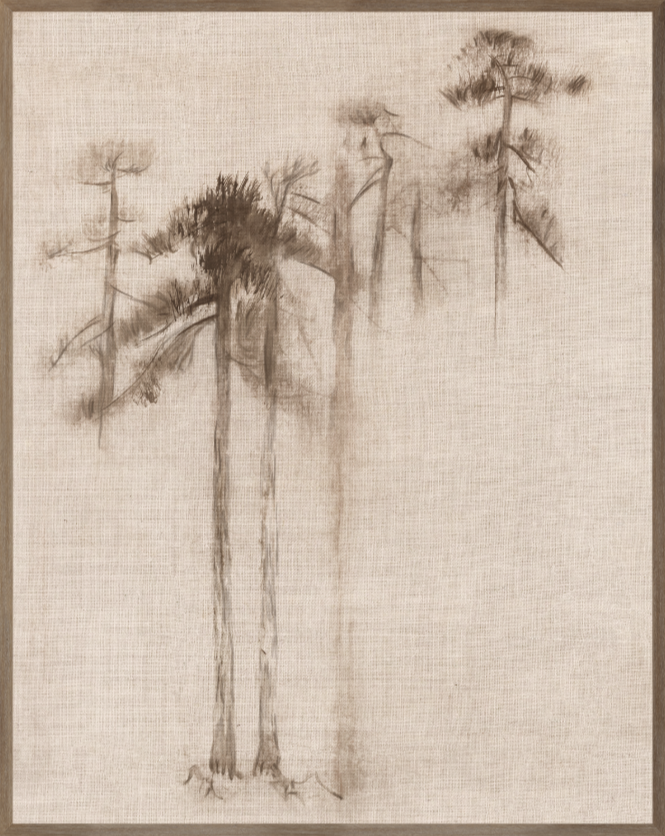 Ink Wash Pines II