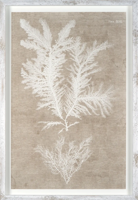 Nature Printed on Linen IV