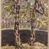 Larch Trees