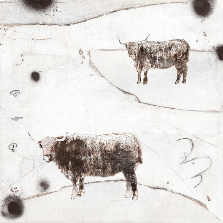 Carousel - Highland Cows