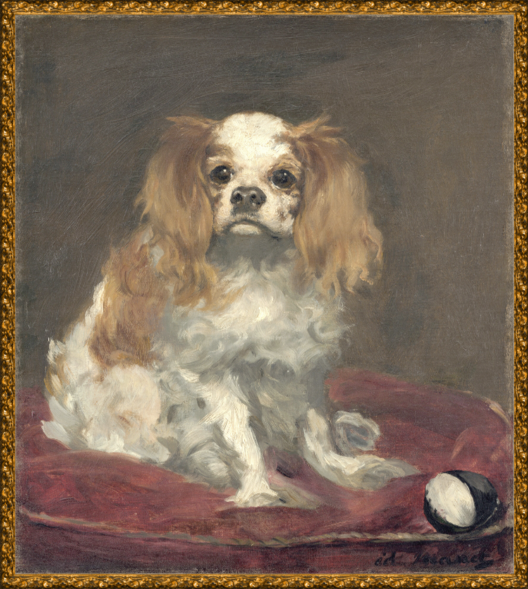 Collection 23 - A King Charles Spaniel C. 1866