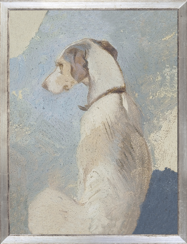Collection Vintage - Study of a Greyhound, 1860