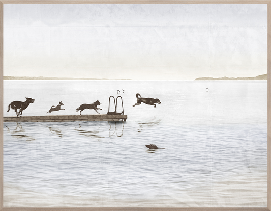 Dogs Day At The Cottage