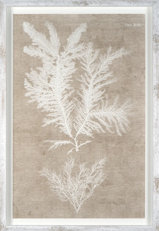 Nature Printed on Linen IV
