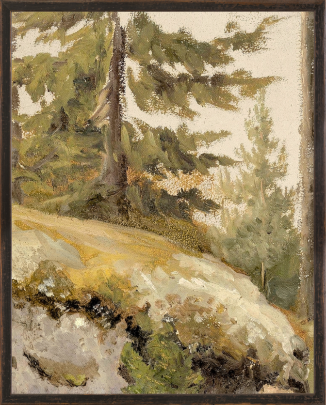 Northern Collection - Forest Study C. 1881