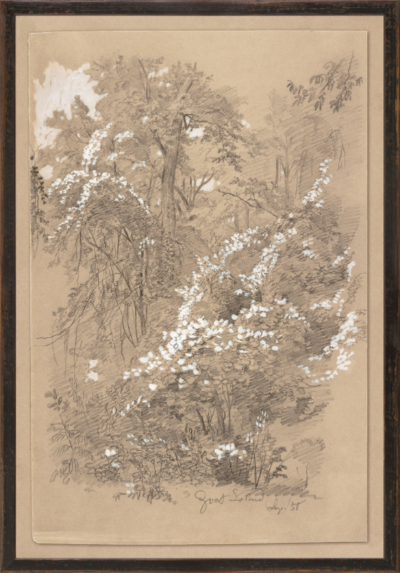 Northern Collection - Goat Island C. 1858