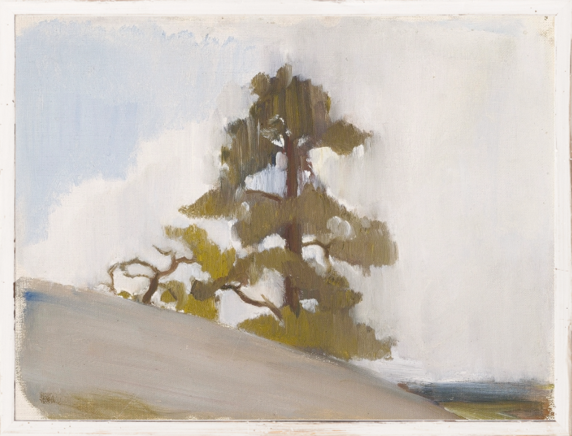 Northern Collection - Jack Pine C. 1880