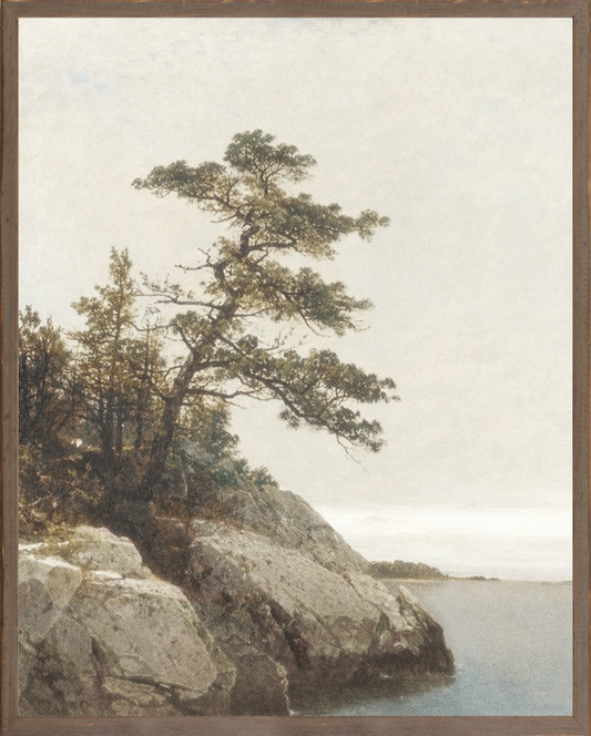 Northern Collection - The Old Pine C. 1872