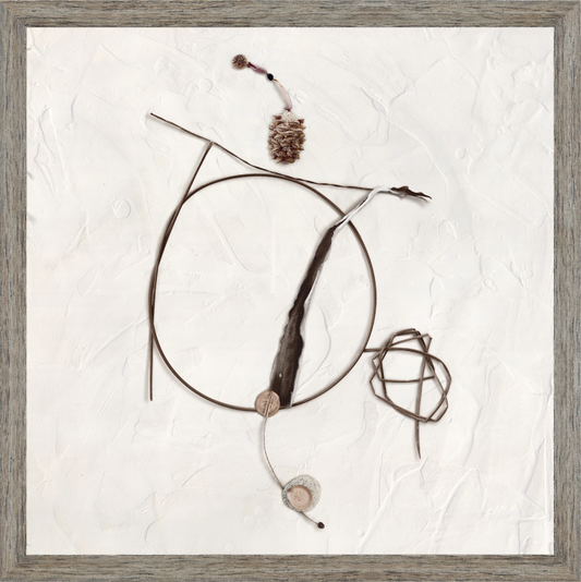 Series - Found Objects XII