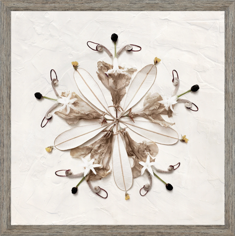 Series - Found Objects  XVII